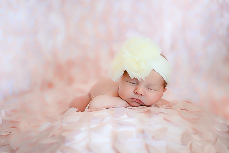 Newborn Sessions